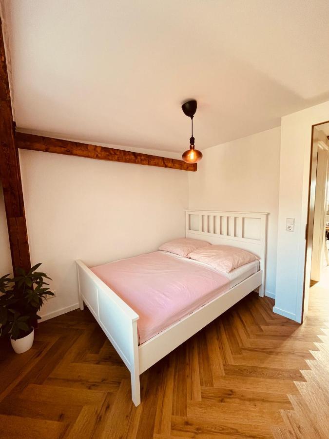 Jugendstil-Altbauwohnung Mit Dachterrasse Direkt An Der Karlsaue Kassel Luaran gambar